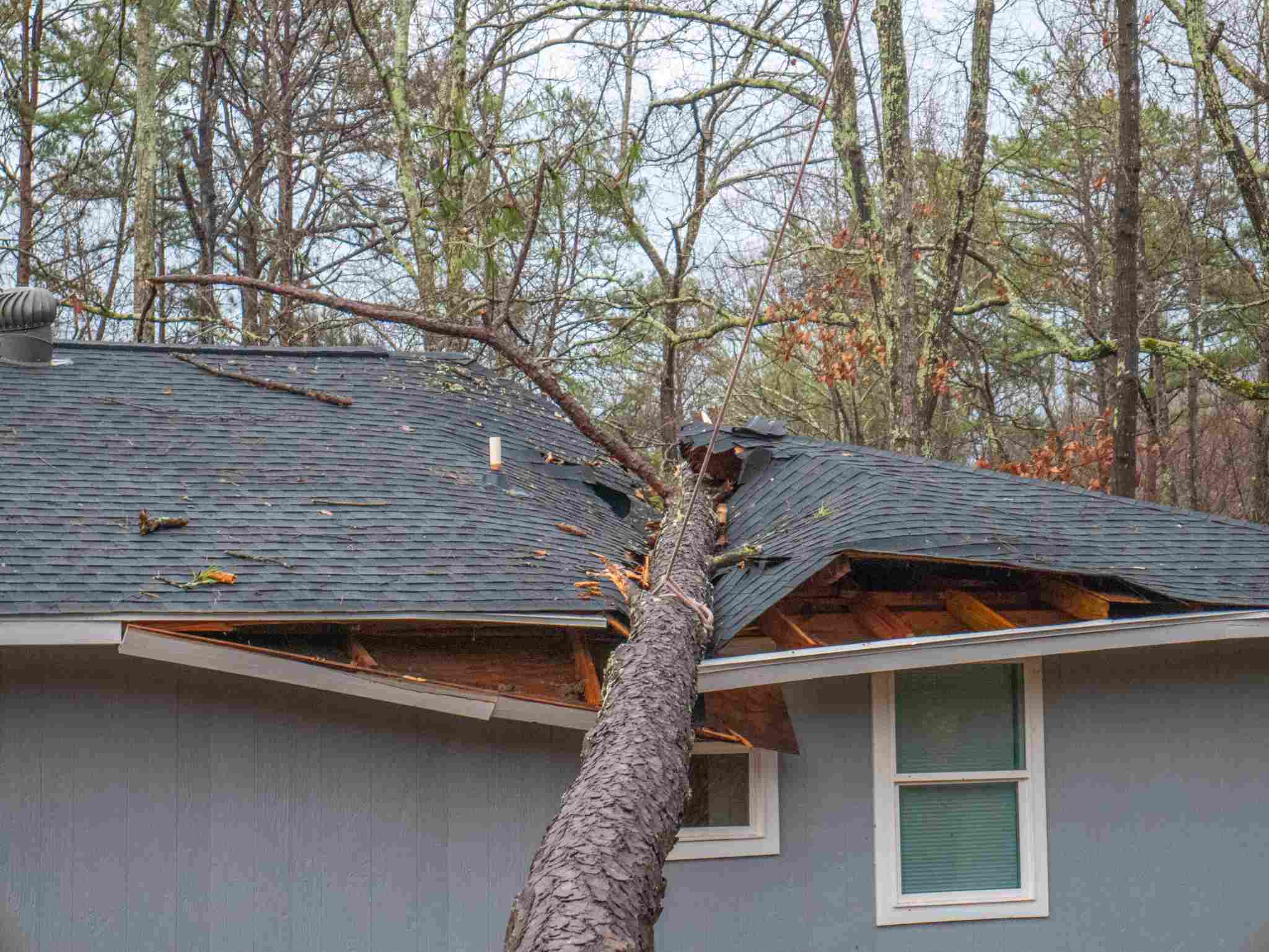 Large tree fallen onto residential roof causing major storm damage and structural issues requiring emergency restoration services in Central DFW.